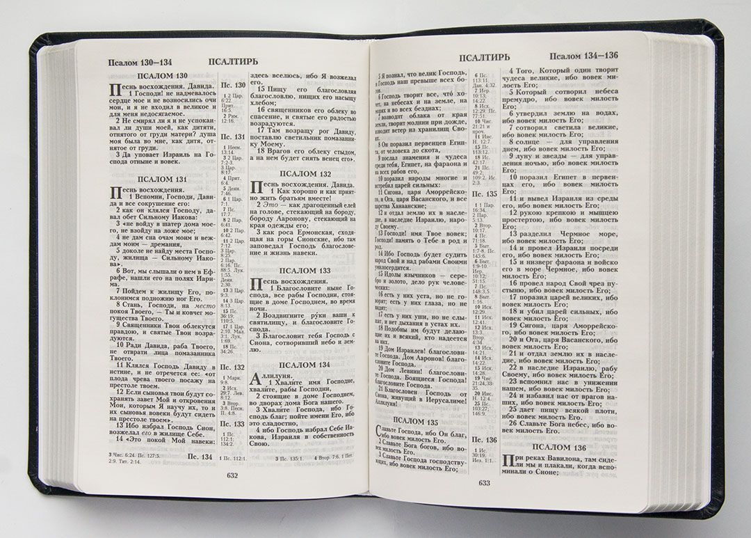 Библия 046 формат (оформление колос, цвет темно-синий, серебряные страницы, размер 130*180 мм)