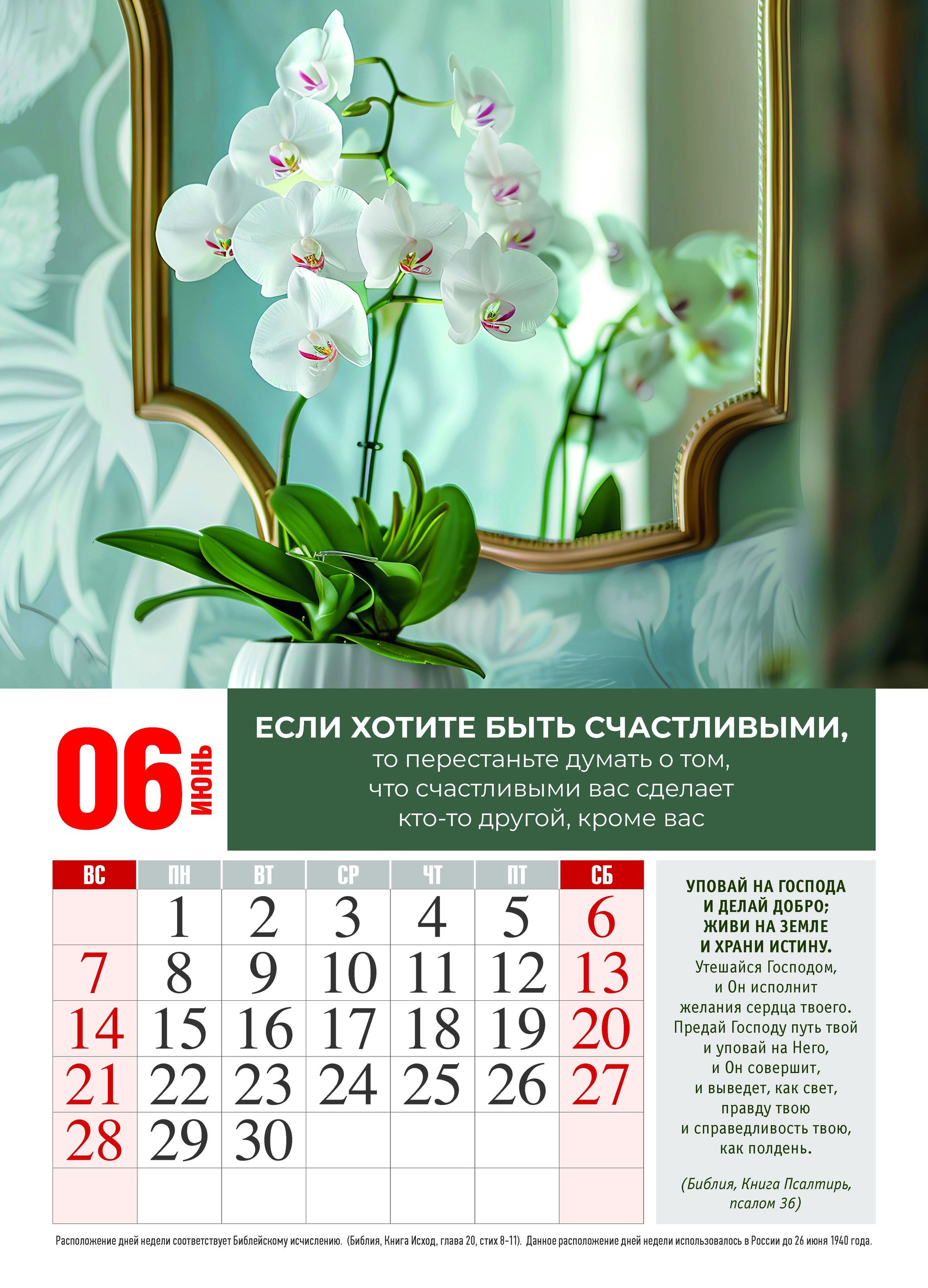 Календарь перекидной на пружине 12 страницах на 2026 год 25*35 см "Умей находить счастье в простых вещах" код 524308